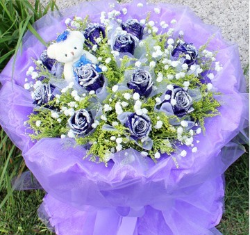 11支昆明蓝玫瑰（棉纸单支包装），黄莺、满天星间插。赠送小熊公仔一只（高10厘米左右，款式随机）